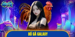 Bồ gà Galaxy
