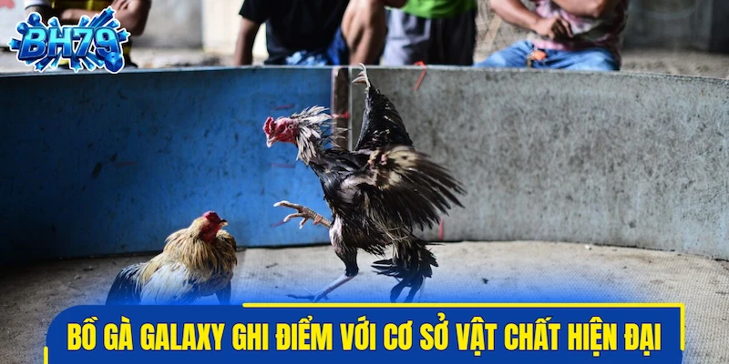 Bồ gà Galaxy ghi điểm với cơ sở vật chất hiện đại