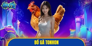 Bồ gà Tonhon
