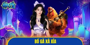 Bồ gà Xà Xía
