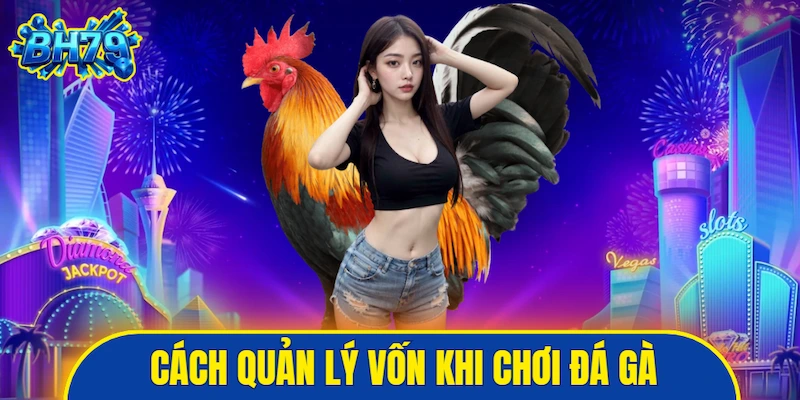 Cách quản lý vốn khi chơi đá gà