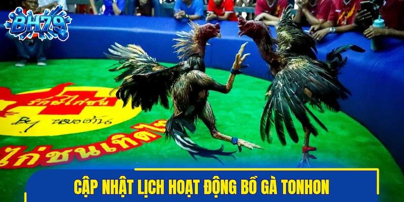 Cập nhật lịch hoạt động bồ gà Tonhon