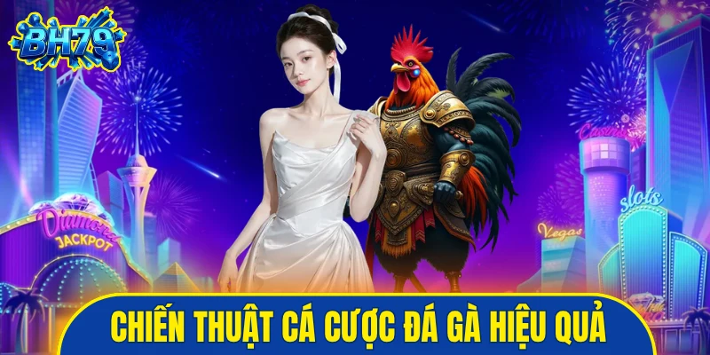chiến thuật cá cược đá gà hiệu quả