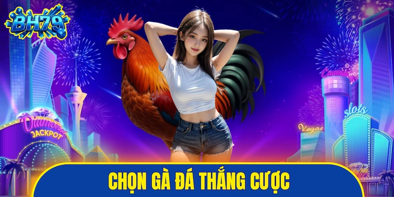 Chọn gà đá thắng cược
