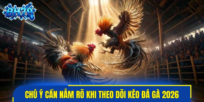 Những chú ý cần nắm rõ khi theo dõi kèo đá gà thực tế 2026