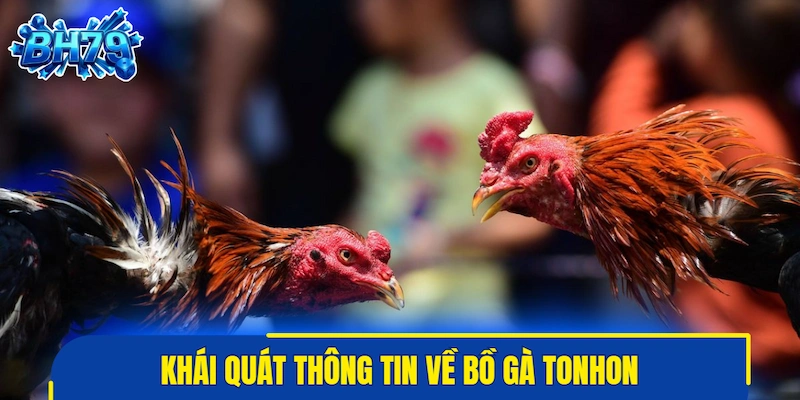 Khái quát thông tin về bồ gà Tonhon