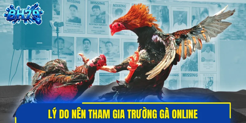 Lý do nên tham gia trường gà online?