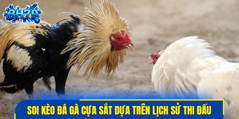 Soi kèo đá gà cựa sắt dựa trên lịch sử thi đấu
