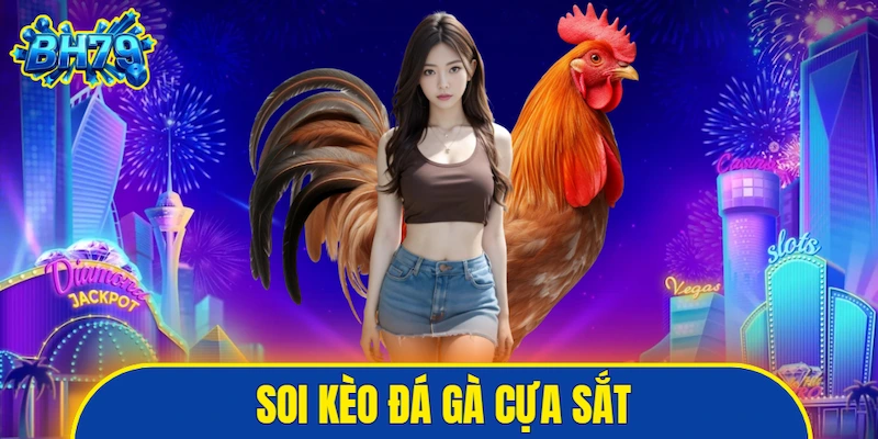 soi kèo đá gà cựa sắt