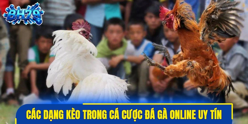 Tổng hợp các dạng kèo trong cá cược đá gà online uy tín