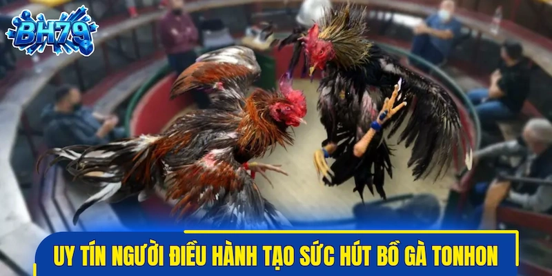 Uy tín của người điều hành tạo nên sức hút bồ gà Tonhon