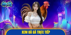 Xem đá gà trực tiếp