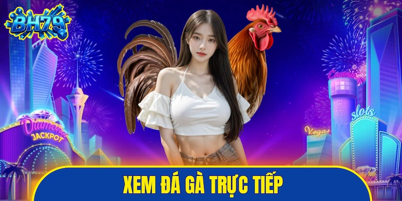 Xem đá gà trực tiếp